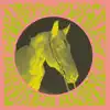 Broken Horse (EP) album lyrics, reviews, download