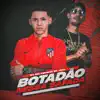 Botadão Nessa Safada song lyrics