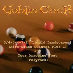3​/​4​-​5​/​4​-​7​/​2 (Liquid Landscapes) b​/​w Your Dragging Feet - Single by Goblin Cock album reviews, ratings, credits