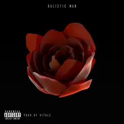 Allah Sent Me a Beautiful Flower - Single by Balistic Man album reviews, ratings, credits