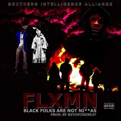 Black Folks Are Not Ni**as - Single by Southern Intelligence Alliance album reviews, ratings, credits