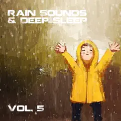 Meditation Rain Sounds Song Lyrics