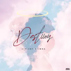 Destiiny - Single by Siyl3nt Siimba album reviews, ratings, credits