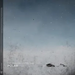 Polar Song Lyrics