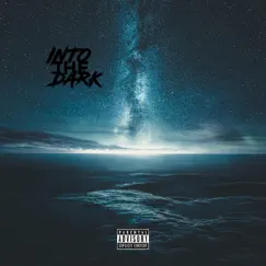 Into the Dark - Single by Idkkahari album reviews, ratings, credits
