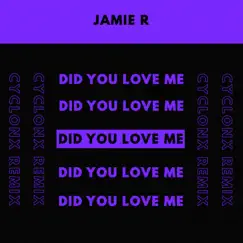Did You Love Me (CyclonX Remix) - Single by Jamie R album reviews, ratings, credits