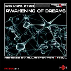 Awakening of Dreams (Allan Feytor Remix) Song Lyrics
