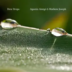 Dew Drops - Single by Agustín Amigó & Mathew Joseph album reviews, ratings, credits