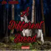 A Different Breed album lyrics, reviews, download