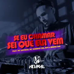 Se Eu Chamar Sei Que Ela Vem (feat. Mc Sapinha, MC Juninho Cba, BHX & Breno DZ6) Song Lyrics