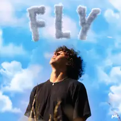 Fly - Single by Misha Lotto album reviews, ratings, credits