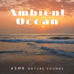 Ambient Ocean: ASMR Nature Sounds by Relaxing Nature Sounds Collection & Relaxation Meditation Songs Divine album reviews, ratings, credits