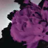 All of Me (Tiësto's Birthday Treatment Remix) [Radio Edit] song lyrics