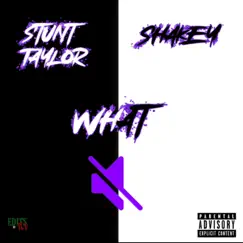 What (feat. Stunt Taylor) - Single by Tokyo Shakey album reviews, ratings, credits