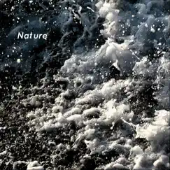 Nature by Fie Schouten album reviews, ratings, credits