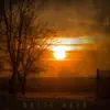 Suns Out (feat. Doug Wamble) - Single album lyrics, reviews, download