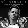 Só Gandaia - Single album lyrics, reviews, download