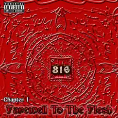 Chapter 1: Farewell to the Flesh by 316 aka Shellz 360 album reviews, ratings, credits