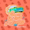 Pocos Lo Van a Entender - Single album lyrics, reviews, download