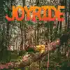 Joyride - Single album lyrics, reviews, download