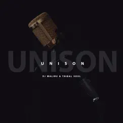 Unison Song Lyrics