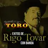 Éxitos de Rigo Tovar Con Banda (feat. Rigo Tovar) album lyrics, reviews, download