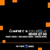 Never Let Go (feat. Ion Blue) - Single album lyrics, reviews, download