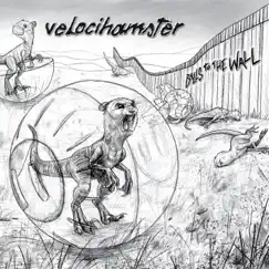 Balls to the Wall by Velocihamster album reviews, ratings, credits