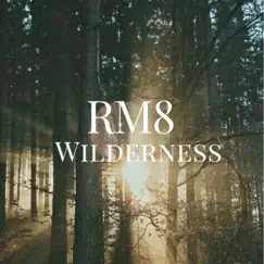 Wilderness - Single by R M 8 album reviews, ratings, credits