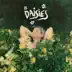 Daisies mp3 download