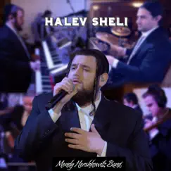 Halev Sheli (feat. Shmueli Ungar) - Single by Mendy Hershkowitz Band album reviews, ratings, credits