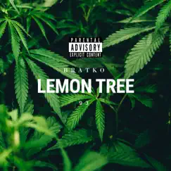 Lemon Tree Song Lyrics