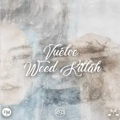 Vuelve - Single by Weed Killah album reviews, ratings, credits