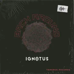 Back Around - Single by Ignotus album reviews, ratings, credits