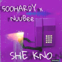 She Know (feat. Nuubee) - Single by 500 Hardy album reviews, ratings, credits