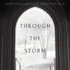 Through the Storm album lyrics, reviews, download