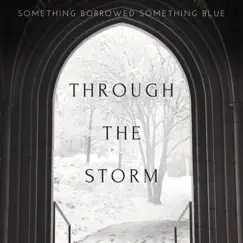 Through the Storm by Something Borrowed Something Blue album reviews, ratings, credits