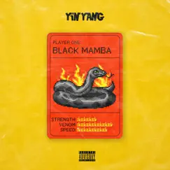Black Mamba - Single by Yinyang album reviews, ratings, credits