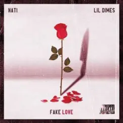 Fake Love (feat. Lil Dimes) Song Lyrics