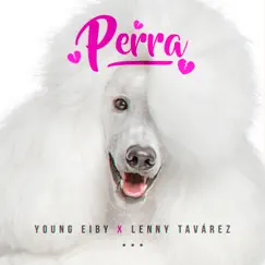 Perra - Single by Young Eiby & Lenny Tavárez album reviews, ratings, credits