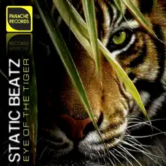 Eye of the Tiger (feat. Survivor) - Single by Static Beatz album reviews, ratings, credits
