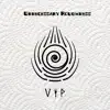 Vip (VIP) song lyrics