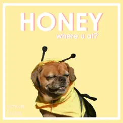 Honey (Where U At?) - Single by NVTHVN & Ok2222 album reviews, ratings, credits
