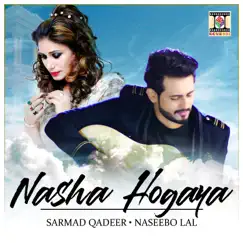 Nasha Hogaya Song Lyrics