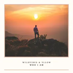 Who I Am - Single by WildVibes & YLLOW album reviews, ratings, credits