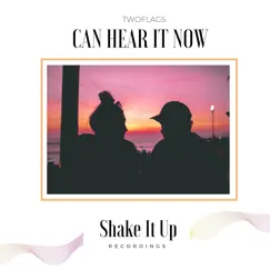 Can Hear It Now - Single by TWOFLAGS album reviews, ratings, credits