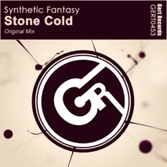 Stone Cold - Single by Synthetic Fantasy album reviews, ratings, credits