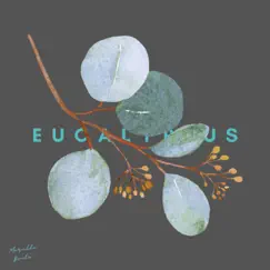 Eucalyptus Song Lyrics