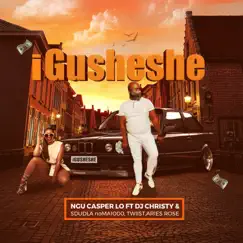 Igusheshe (feat. Dj Christy, Sdudla NoMa1000, Twiist & Aries Rose) - Single by Ngu Casper Lo album reviews, ratings, credits