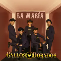 La María - Single by Gallos Dorados album reviews, ratings, credits